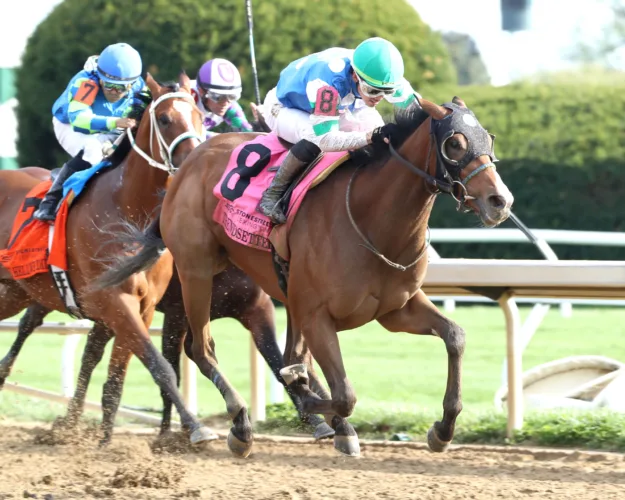Trendsetter trainer content with avoiding the big races